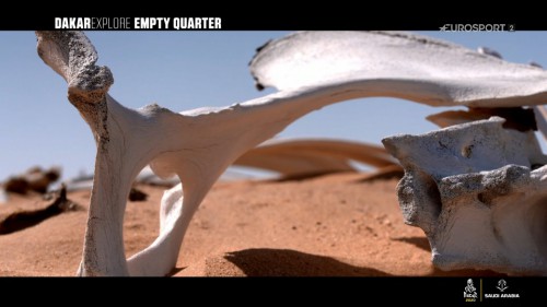 cap_dakarstage10index_1.mkv-cut-merged-1579150134356_000112_01.jpg