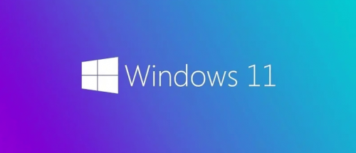 windows 11