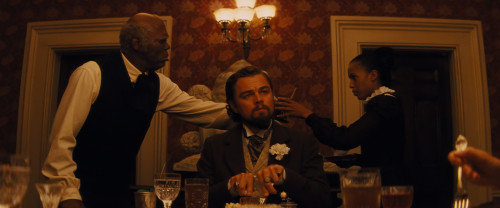Django_3.jpg