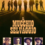 mucchio