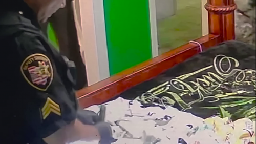 vlcsnap 2023 03 26 11h31m30s567