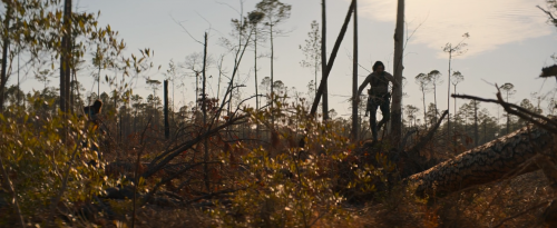 65-full-movie-2023-HD.png