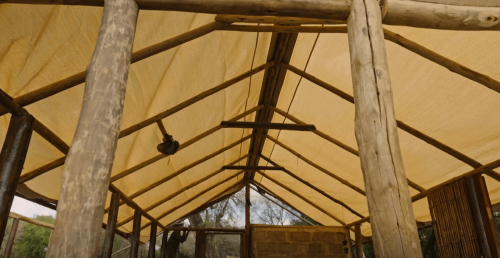 Renovation-Wild-2023-HD-movie.png