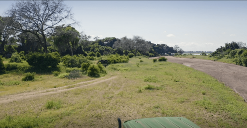 Renovation-Wild-Season-1-2023.png