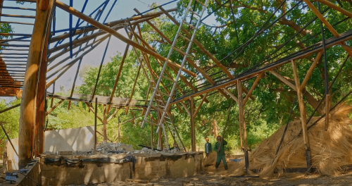 Renovation-Wild.png