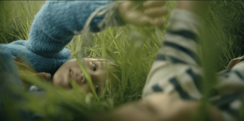 little-bird-tv-series-new-1080p.png
