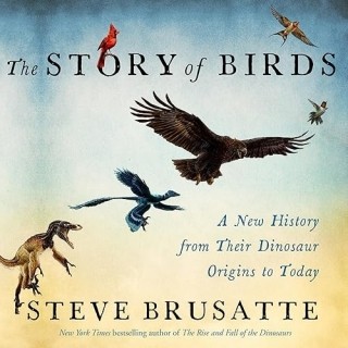 Movie cover image