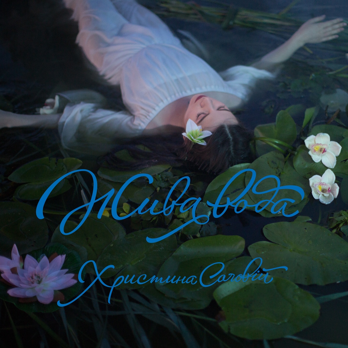 Movie cover image