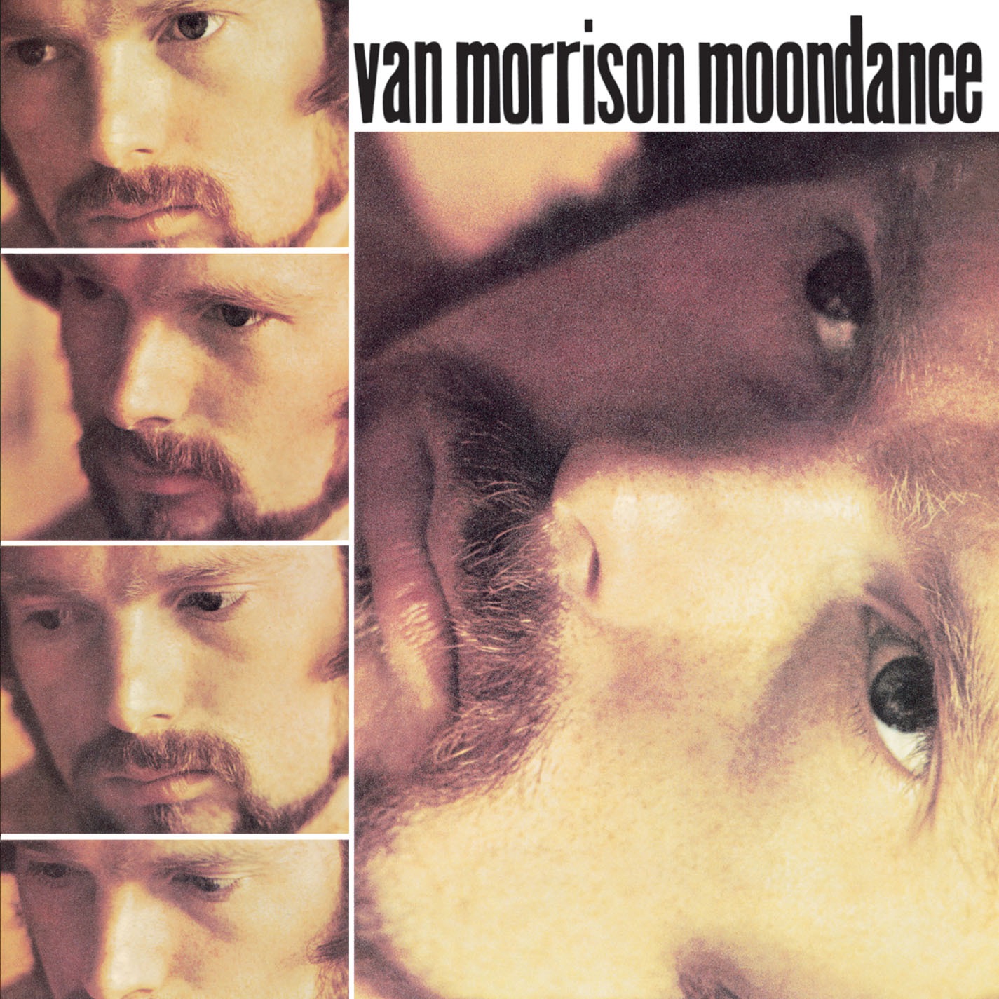 Movie cover image
