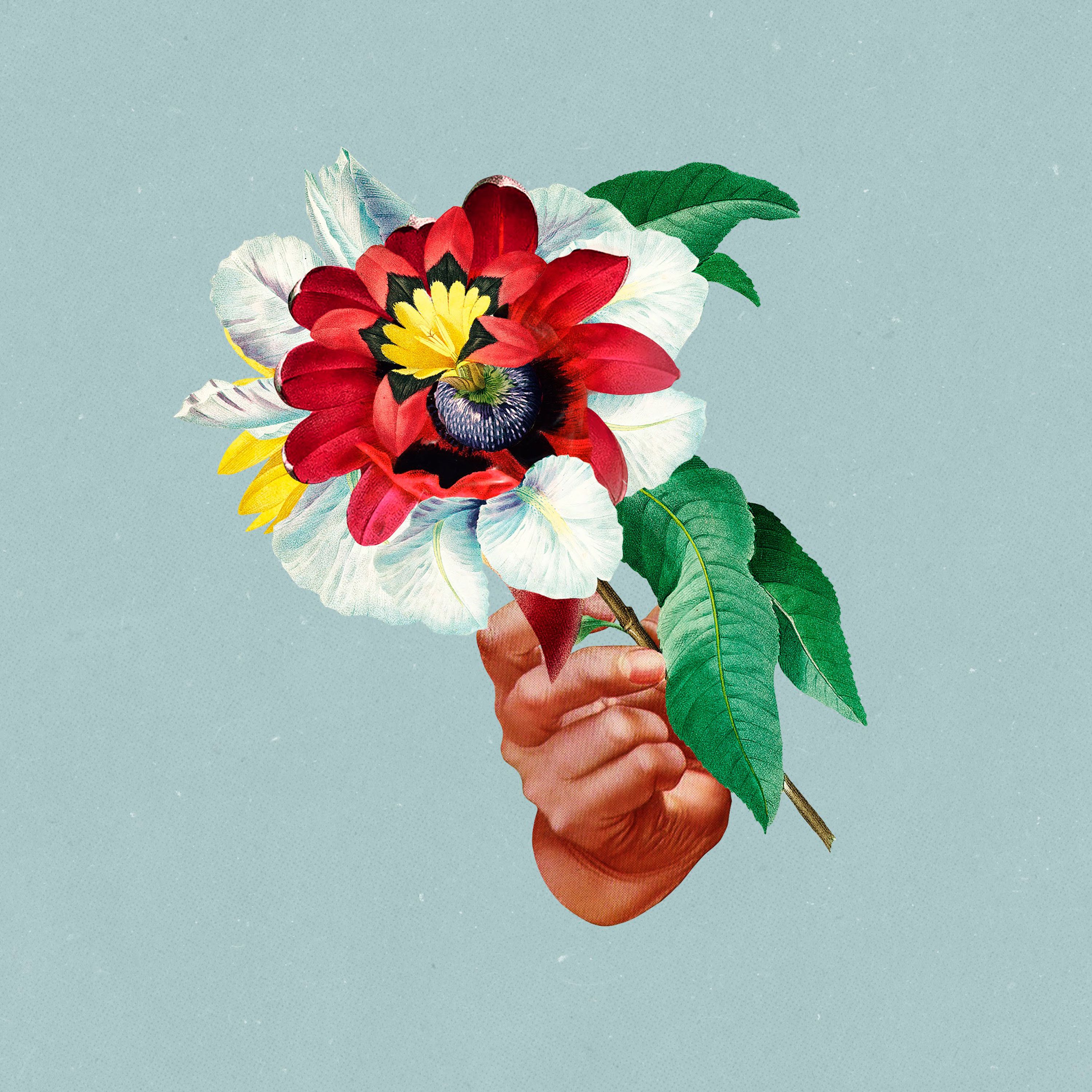 Movie cover image