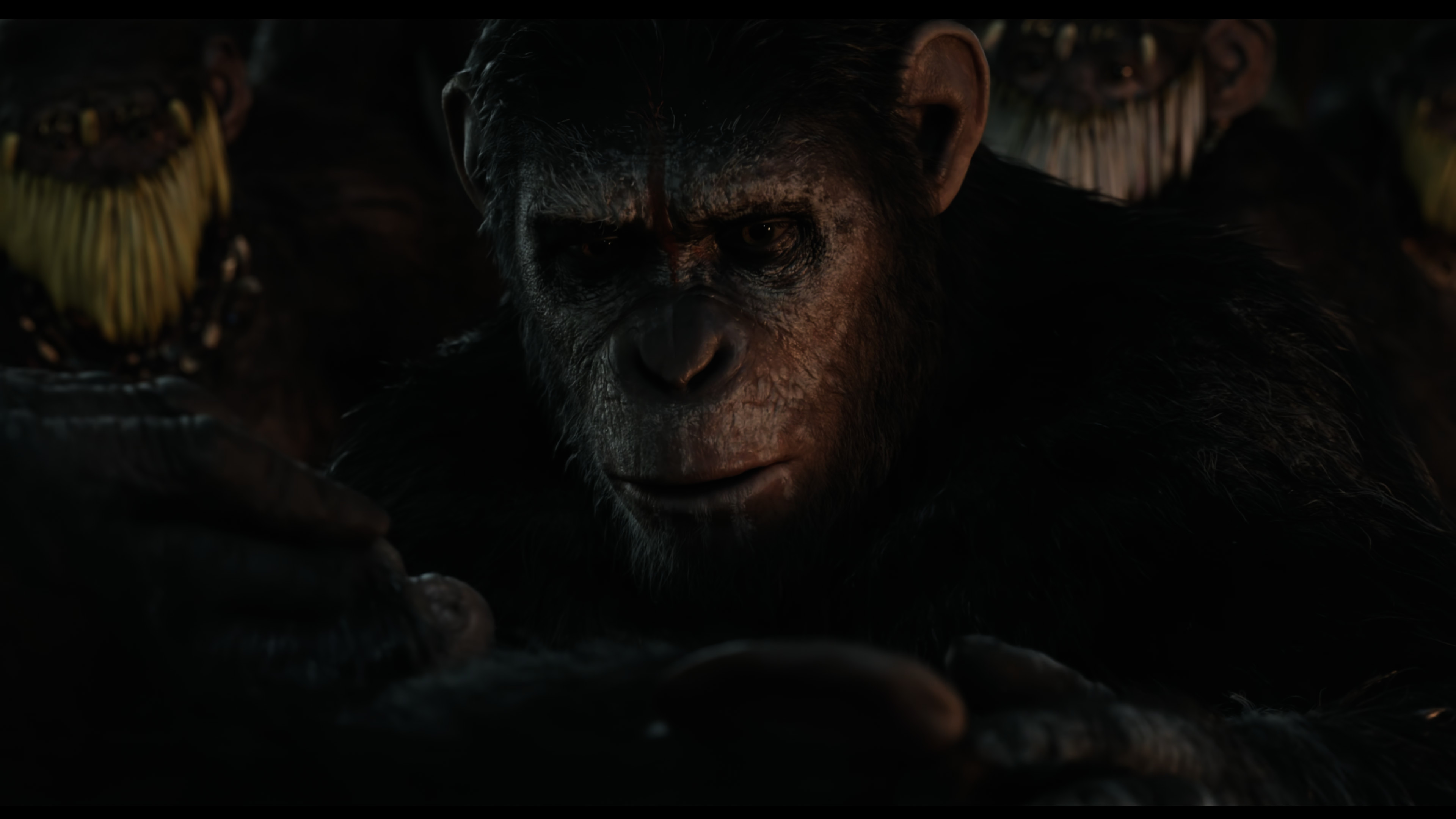 Movie cover image