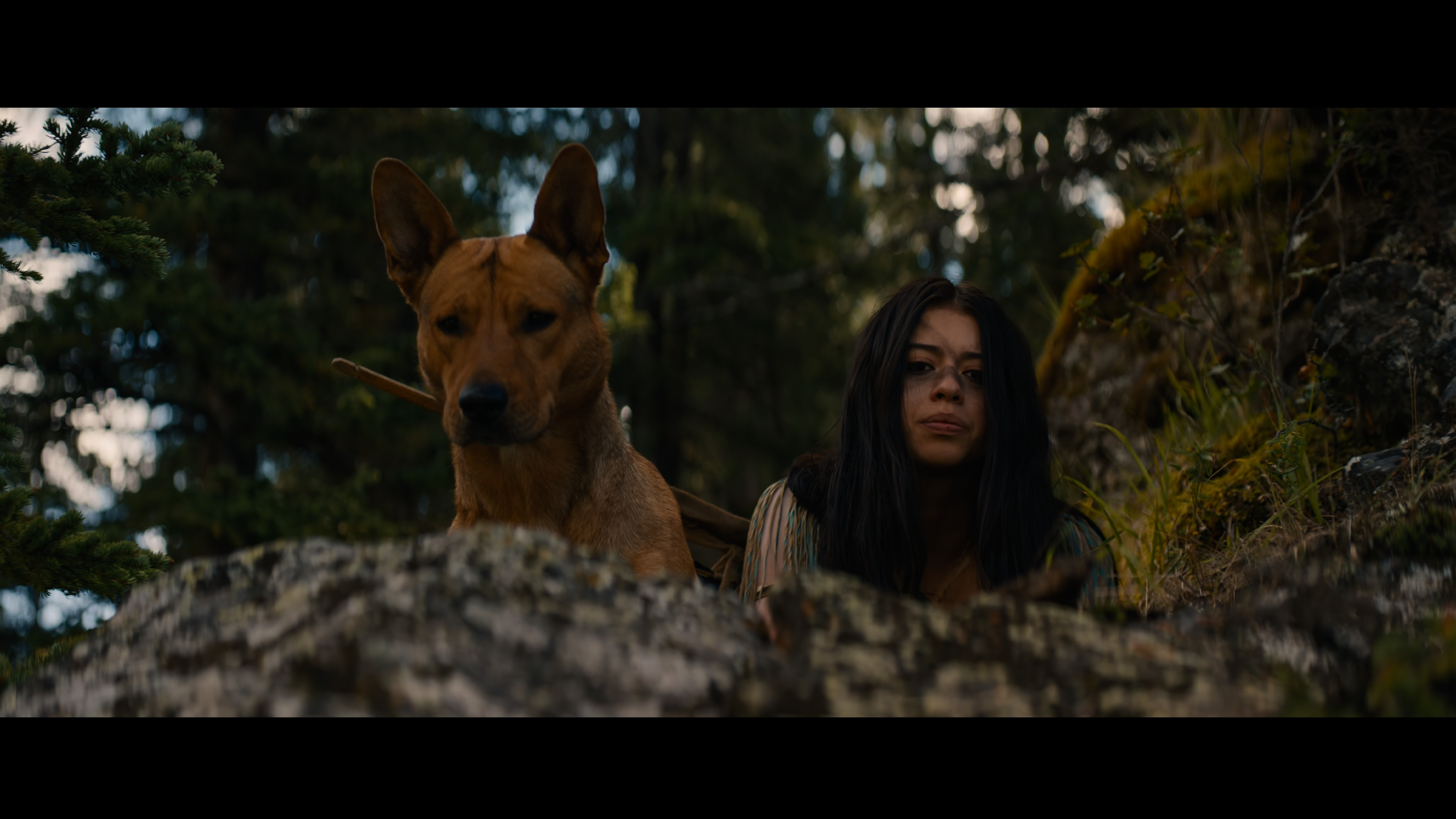 Movie cover image