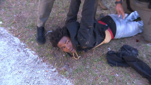 cops3b.jpg