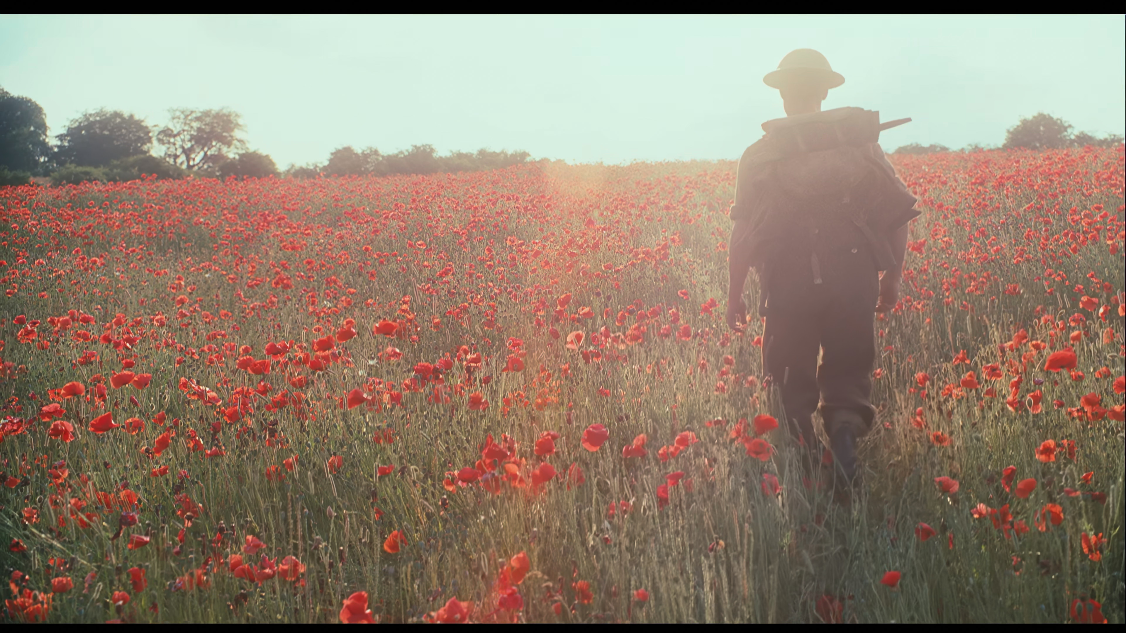 Movie cover image